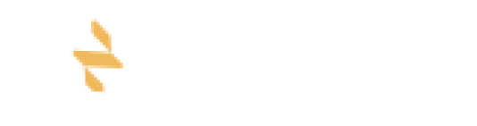 Zenith Logo
