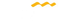 Investor 1