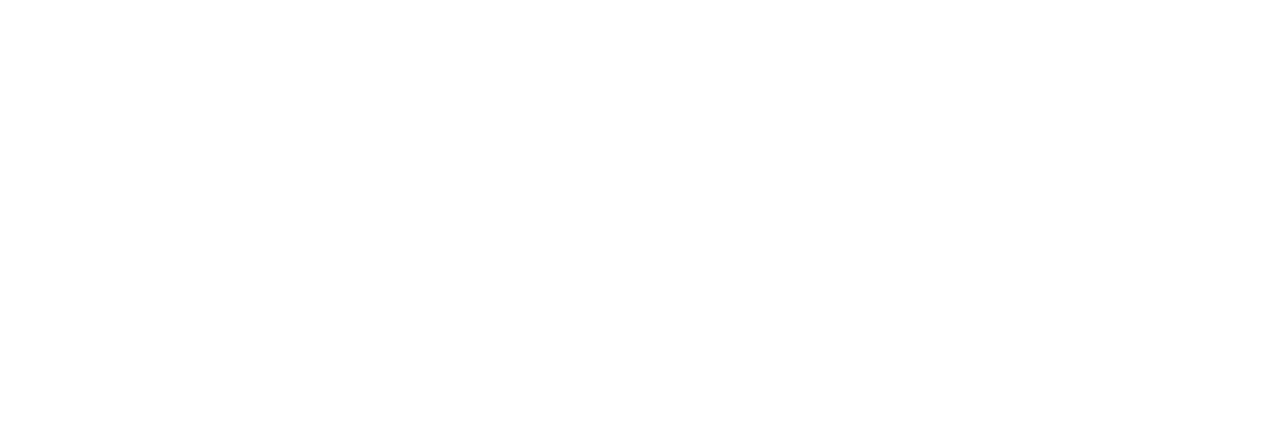 iSeller